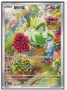 Display - cbb1C - 15 boosters SLIM (4 cartes) (CN)